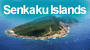 senkaku(other